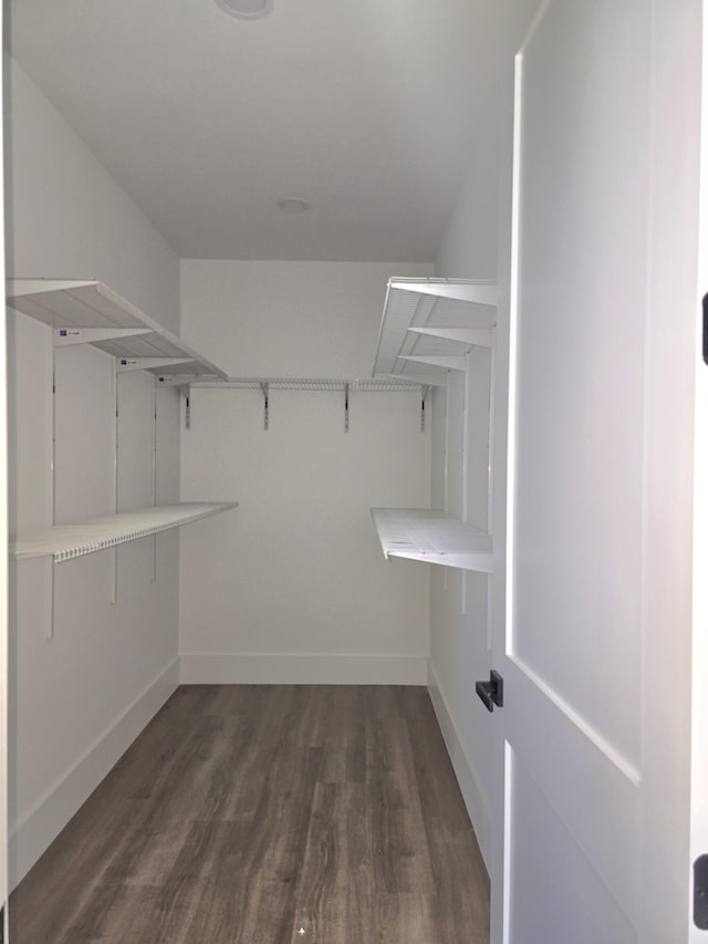 walk in closet featuring dark wood finished floors