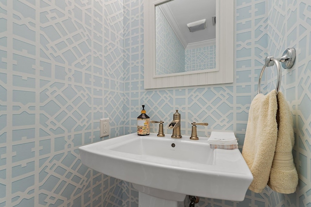 bathroom with a sink and ornamental molding