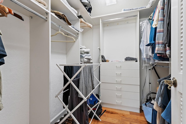 spacious closet featuring wood finished floors