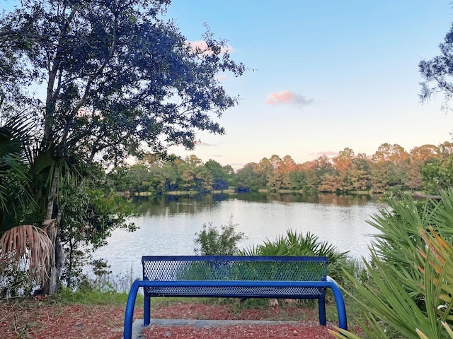 property view of water