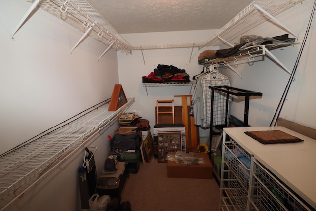 walk in closet featuring carpet flooring