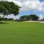 view of community with view of golf course