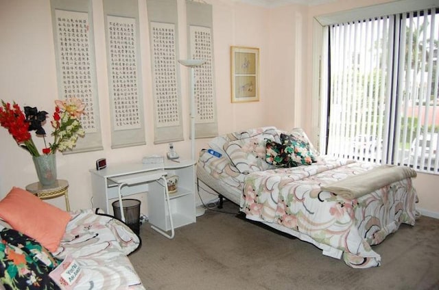 bedroom featuring carpet