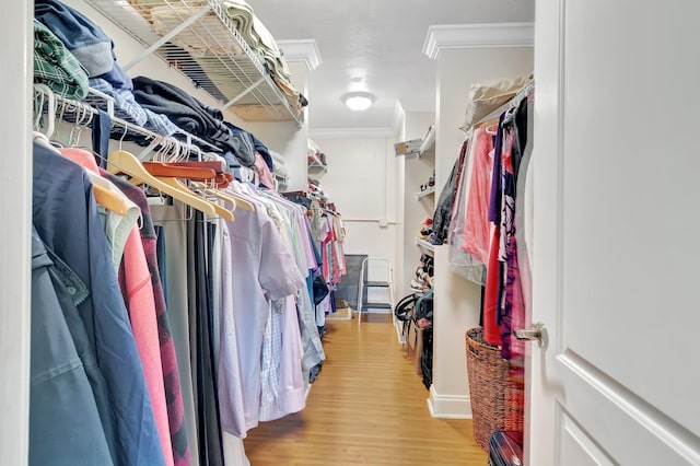 walk in closet featuring wood finished floors