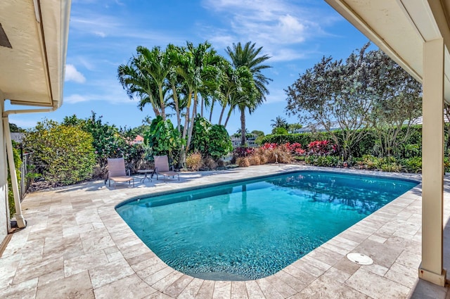 outdoor pool featuring a patio and a fenced backyard