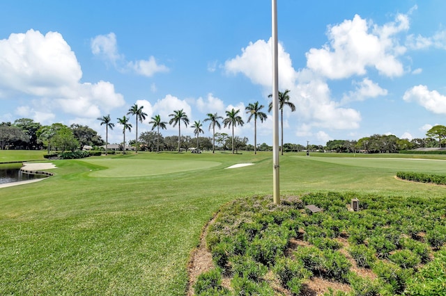 view of community with a lawn and view of golf course