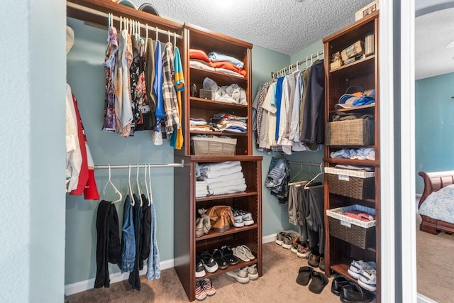 6346 Sand Hills Cir, Lake Worth, FL 33463 - spacious closet with carpet floors