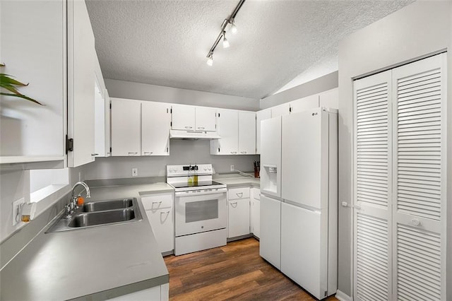 kitchen featuring under cabinet range hood, dark wood-style floors, white appliances, a textured ceiling, and a sink