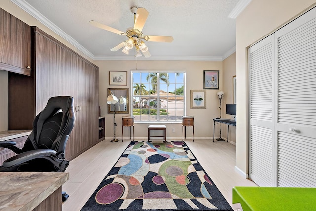 office space featuring a textured ceiling, baseboards, ornamental molding, ceiling fan, and light wood-type flooring