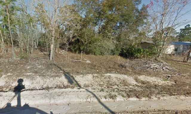 140 Hudson Trl, Interlachen FL, 32148 land for sale