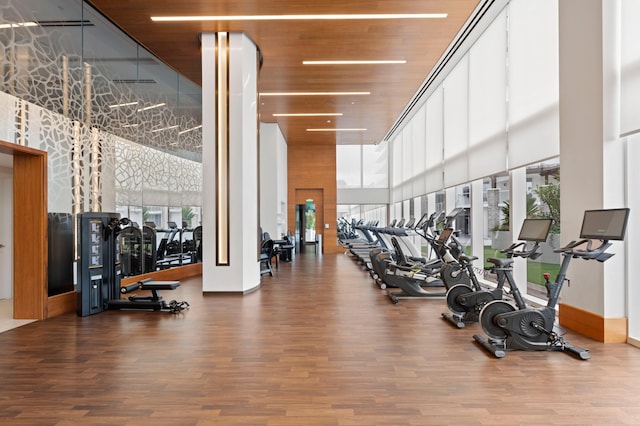 gym featuring a high ceiling and wood finished floors