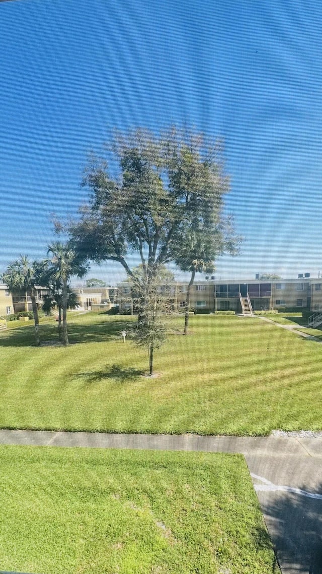 view of community with a yard