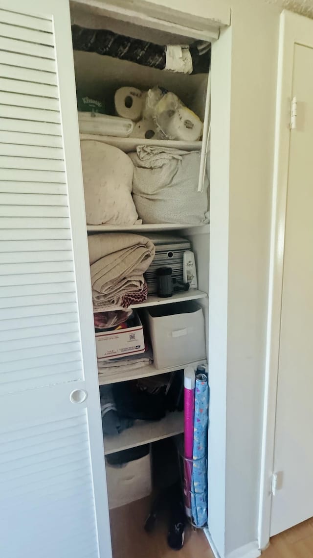 view of closet