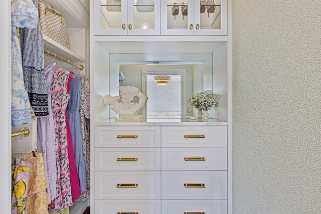 view of walk in closet