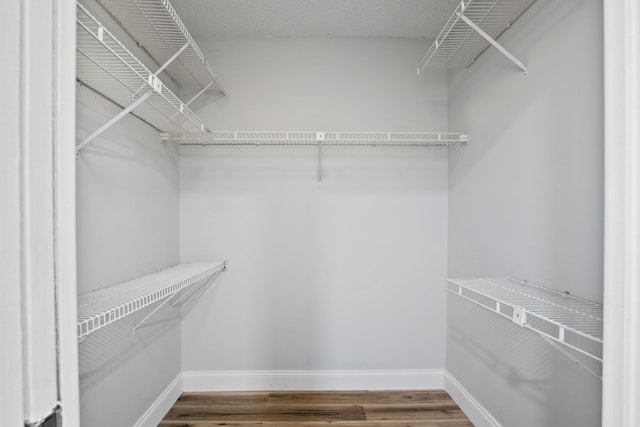 spacious closet featuring wood finished floors