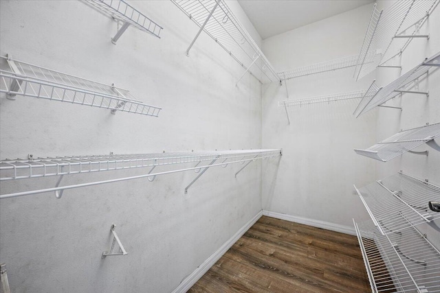spacious closet with wood finished floors