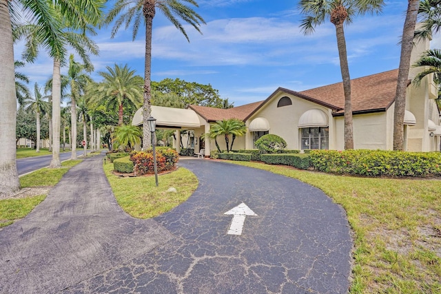 view of front of house featuring stucco siding and curved driveway