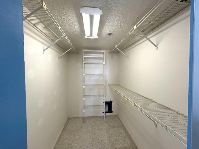 spacious closet with carpet