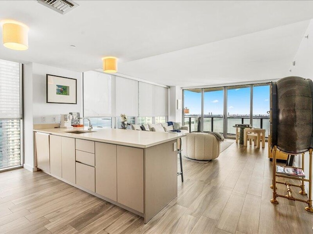 kitchen with visible vents, a sink, floor to ceiling windows, light wood-style floors, and light countertops