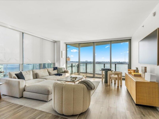 living room featuring a healthy amount of sunlight, wood finished floors, and expansive windows