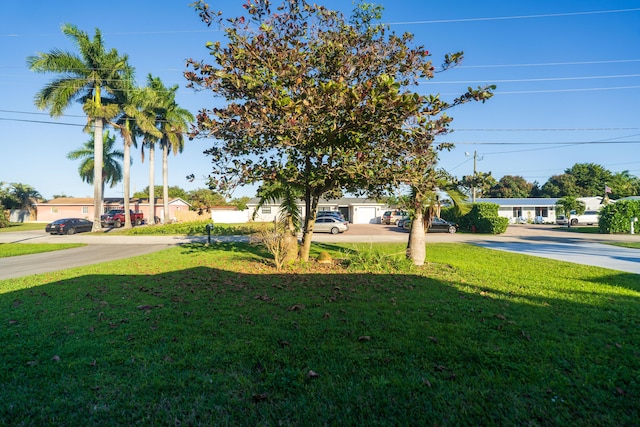 view of yard with driveway