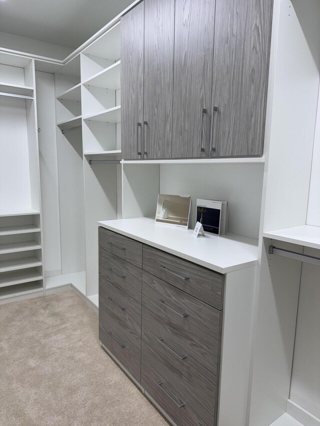 spacious closet featuring light carpet