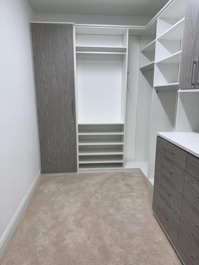 walk in closet featuring carpet flooring