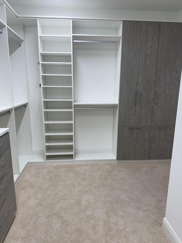 9637 Spray Dr, West Palm Beach, FL 33411 - spacious closet with carpet