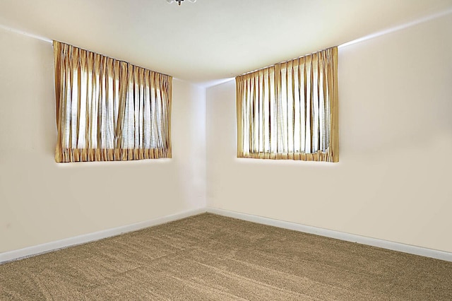 spare room with plenty of natural light, baseboards, and carpet floors