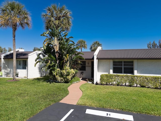 ranch-style home with stucco siding, a front lawn, and a tiled roof