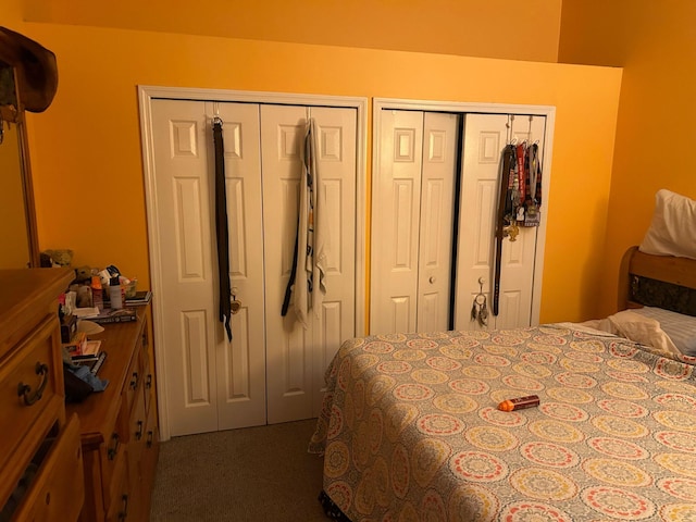 bedroom featuring multiple closets