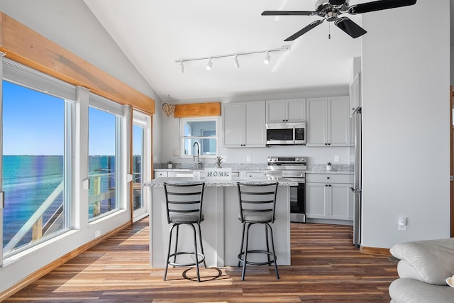 kitchen featuring a kitchen bar, light stone counters, dark wood finished floors, stainless steel appliances, and lofted ceiling