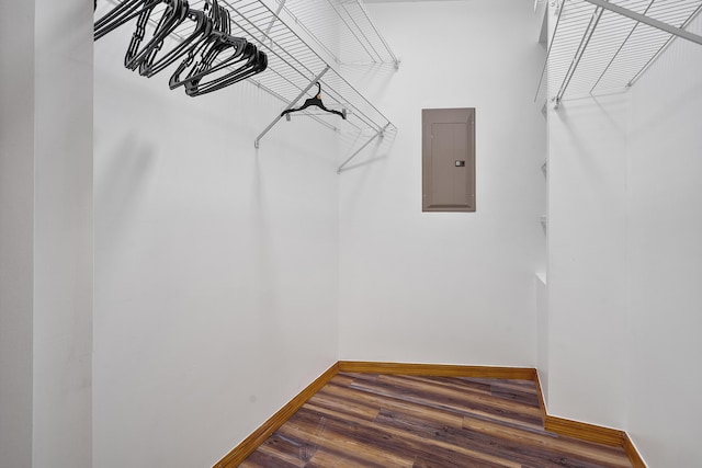 spacious closet featuring electric panel and dark wood-style floors