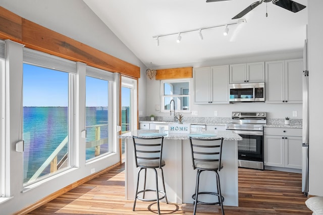 kitchen featuring lofted ceiling, a center island, wood finished floors, and stainless steel appliances