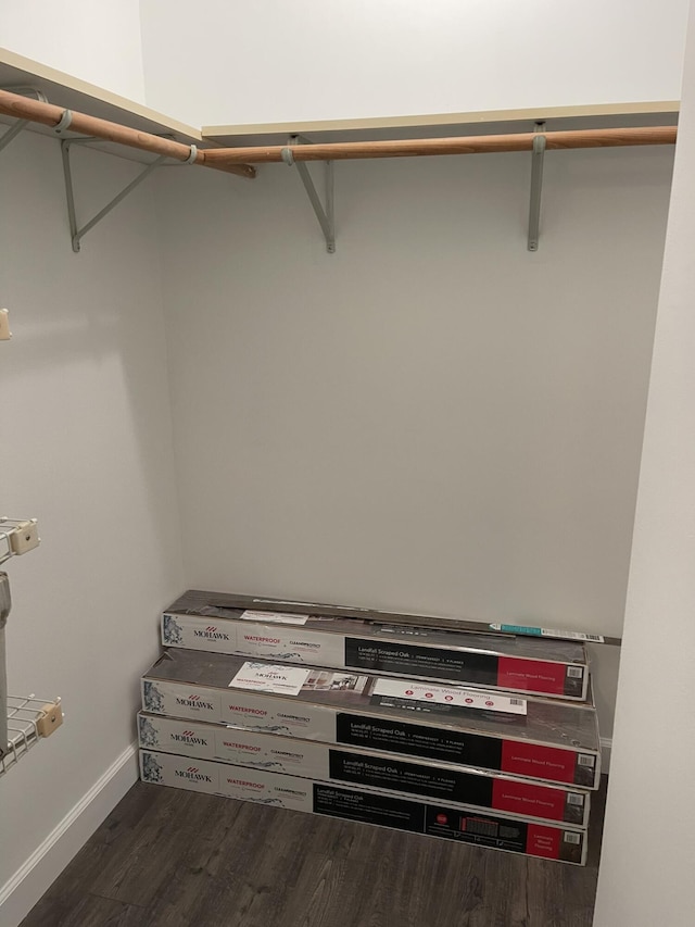 walk in closet featuring wood finished floors