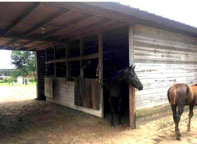 view of horse barn