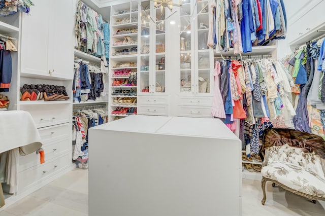 view of spacious closet