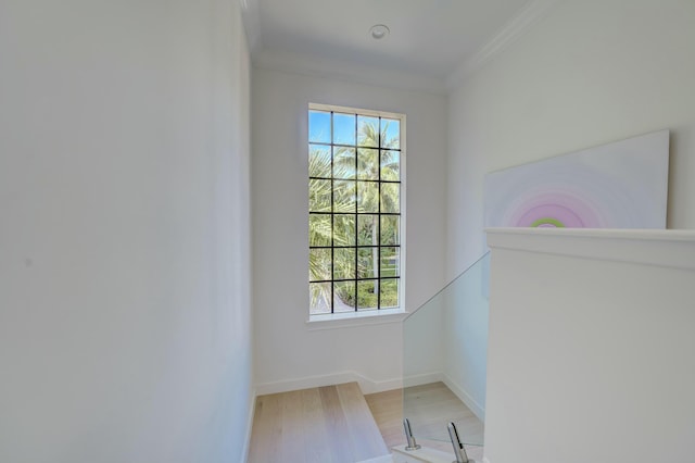 doorway to outside with a wealth of natural light, ornamental molding, baseboards, and wood finished floors