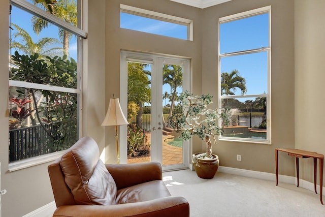 sitting room featuring a healthy amount of sunlight, baseboards, and carpet floors