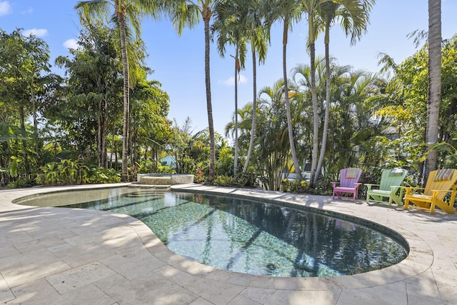 view of pool with a patio area and a pool with connected hot tub
