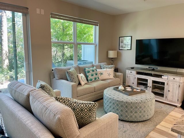 living area with wood finished floors