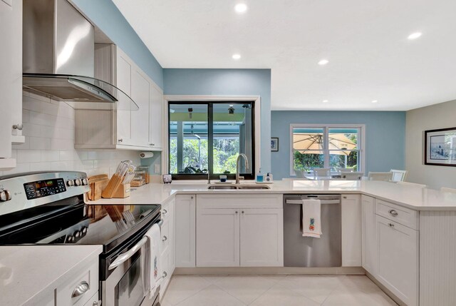 kitchen with a sink, wall chimney exhaust hood, plenty of natural light, and stainless steel appliances