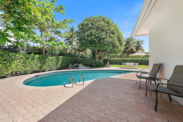 view of pool featuring fence, a patio area, and a fenced in pool