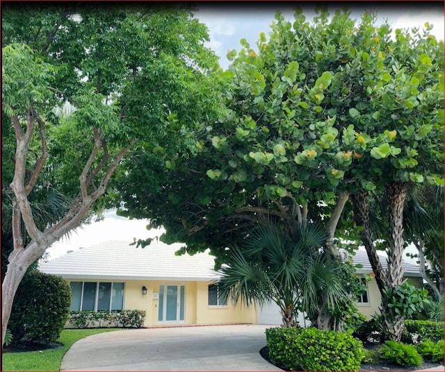 view of front facade with stucco siding and concrete driveway