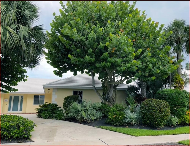 view of front of property featuring stucco siding and concrete driveway