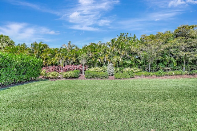 7855 Wildflower Shores Dr, Delray Beach, FL 33446 - view of yard