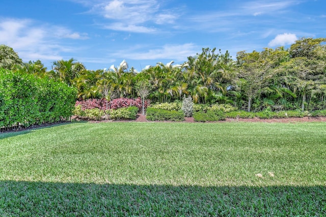 7855 Wildflower Shores Dr, Delray Beach, FL 33446 - view of yard