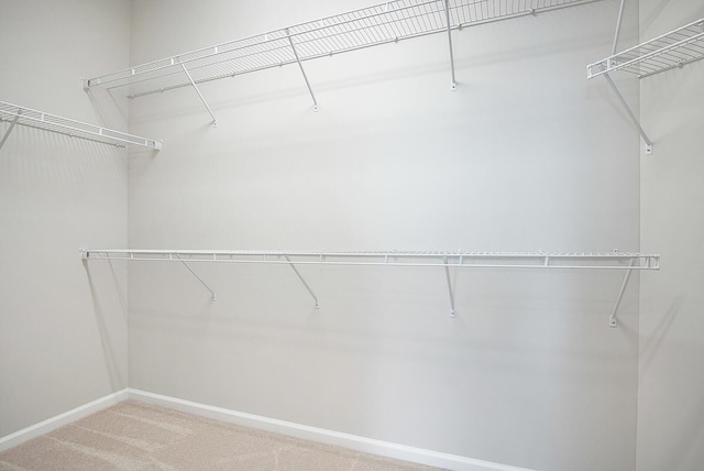 11243 SW Parkside Dr, Port Saint Lucie, FL 34987 - spacious closet with carpet