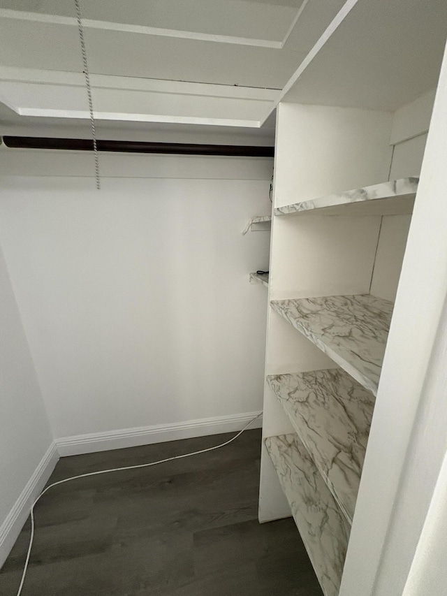 walk in closet with dark wood finished floors