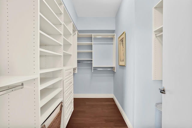 3620 Gardens Pkwy Unit 1001B, Palm Beach Gardens, FL 33410 - walk in closet with dark wood-type flooring